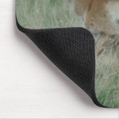 A31 Pronghorn Antelope Doe Mousepad (Ecke)