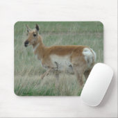 A31 Pronghorn Antelope Doe Mousepad (Mit Mouse)