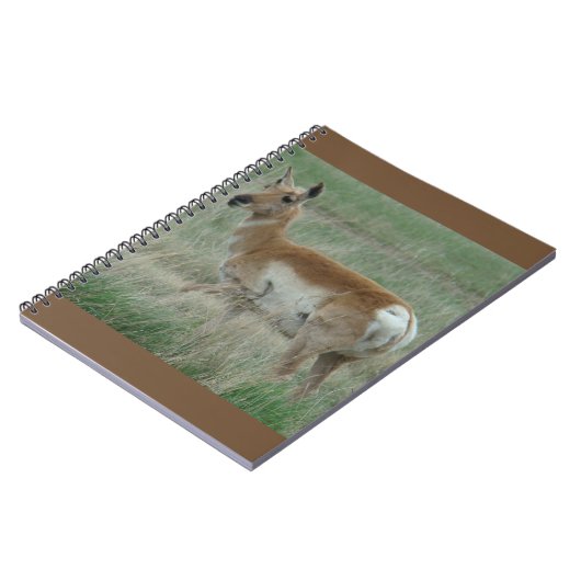 A31 Pronghorn Antelope Doe Notizblock (Linke Seite)