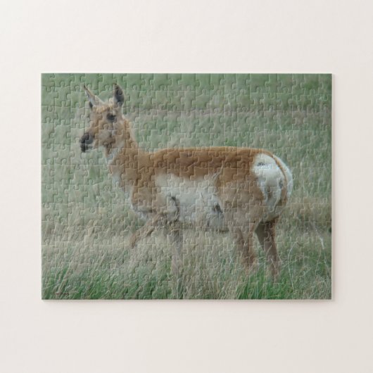 A31 Pronghorn Antelope Doe Puzzle (Horizontal)