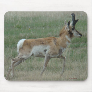 A32 Gabelbockbock Mousepad