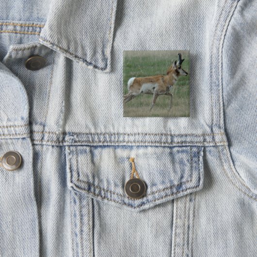 A32 Pronghorn Antelope Buck Button (Beispiel)
