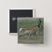 A32 Pronghorn Antelope Buck Button (Vorne & Hinten)