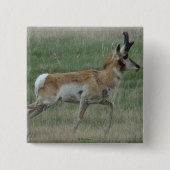 A32 Pronghorn Antelope Buck Button (Vorderseite)