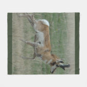 A32 Pronghorn Antelope Buck Fleecedecke (Vorderseite (Horizontal))