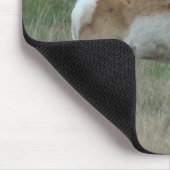 A32 Pronghorn Antelope Buck Mousepad (Ecke)