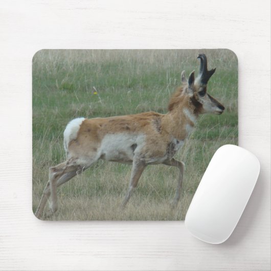 A32 Pronghorn Antelope Buck Mousepad (Mit Mouse)