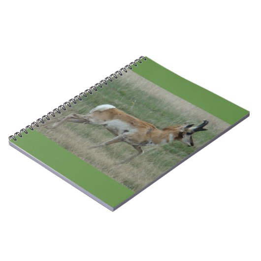 A32 Pronghorn Antelope Buck Notizblock (Linke Seite)
