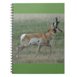 A32 Pronghorn Antelope Buck Notizblock