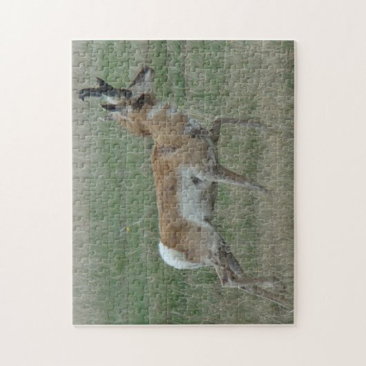 A32 Pronghorn Antelope Puzzle