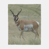 A33 Pronghorn Antelope Big Buck Crooked Horns Fleecedecke (Vorderseite)