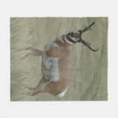 A33 Pronghorn Antelope Big Buck Crooked Horns Fleecedecke (Vorderseite (Horizontal))