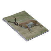 A33 Pronghorn Antelope Buck Crooked Horns Notizblock (Rechte Seite)