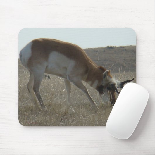 A34 Pronghorn Antelope Buck Crooked Horns Mousepad (Mit Mouse)