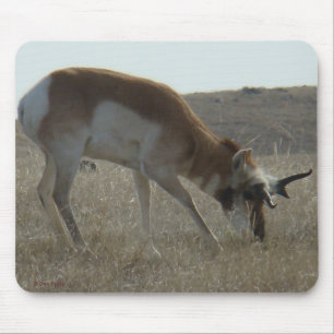 A34 Pronghorn Antelope Buck Crooked Horns Mousepad