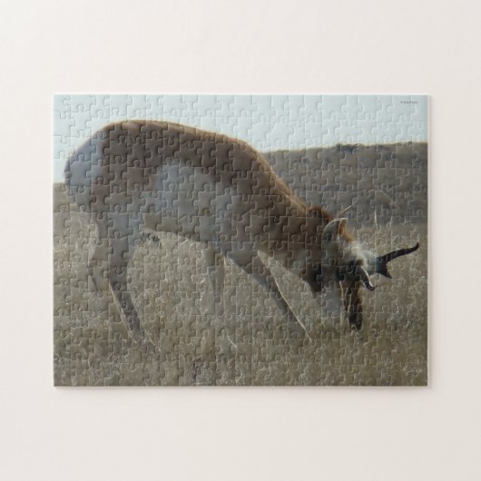 A34 Pronghorn Antelope Buck Crooked Horns Puzzle (Horizontal)
