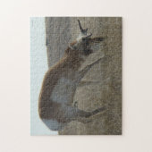 A34 Pronghorn Antelope Buck Crooked Horns Puzzle (Vertikal)
