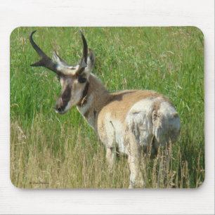 A35 Gabelbockbock Mousepad