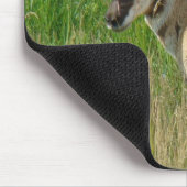 A35 Pronghorn Antilopen-Dollar Mousepad (Ecke)