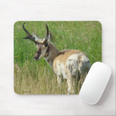 A35 Pronghorn Antilopen-Dollar Mousepad (Mit Mouse)