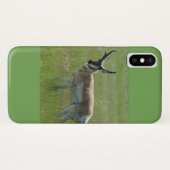 A36 Gabelantilope Case-Mate iPhone Hülle (Rückseite (Horizontal))