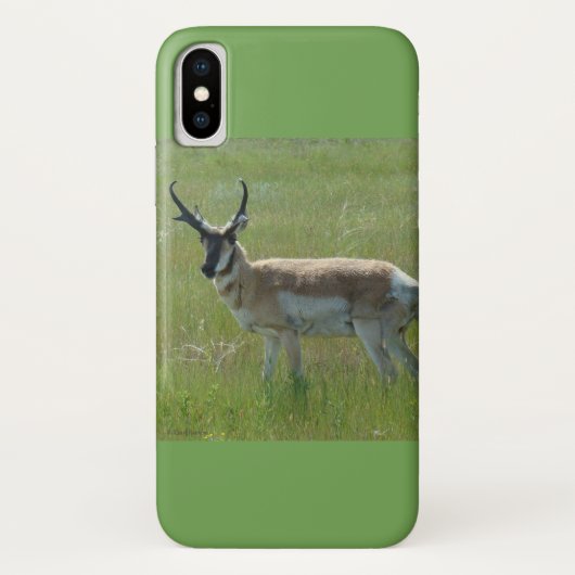 A36 Gabelantilope Case-Mate iPhone Hülle (Rückseite)