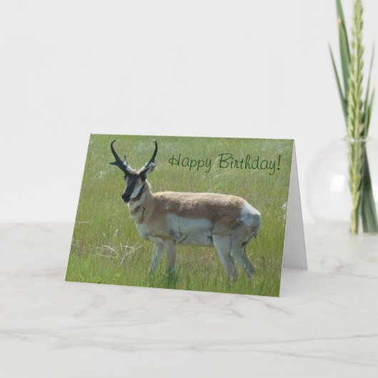 A36 Gabelbock Großer Bock Karte (Vorderseite)