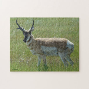 A36 Gabelbockbock Puzzle
