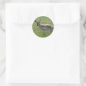 A36 Gabelbockbock Runder Aufkleber (Tasche)