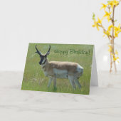 A36 Pronghorn Antelope Big Buck Karte (Gelbe Blume)
