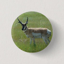 A36 Pronghorn Antelope Buck Button