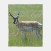A36 Pronghorn Antelope Buck Fleecedecke (Vorderseite)