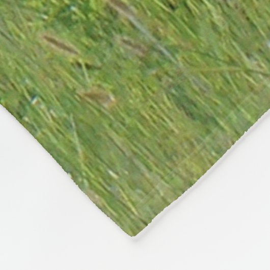 A36 Pronghorn Antelope Buck Fleecedecke (Ecke)