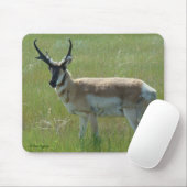 A36 Pronghorn Antelope Buck Mousepad (Mit Mouse)