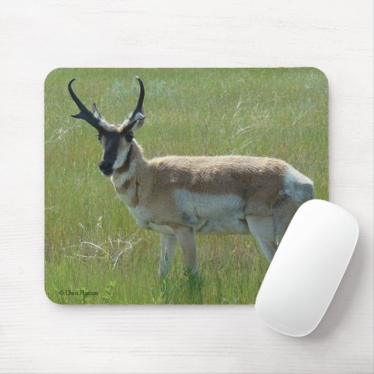 A36 Pronghorn Antelope Buck Mousepad (Mit Mouse)