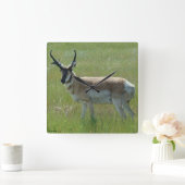 A36 Pronghorn Antelope Buck Quadratische Wanduhr (Zuhause)