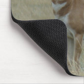 A37 Gabelantilope Krumme Hörner Mousepad (Ecke)
