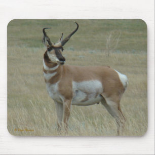 A37 Gabelantilope Krumme Hörner Mousepad