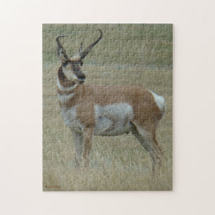 A37 Gabelantilope Krumme Hörner Puzzle