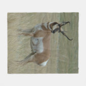 A37 Pronghorn Antelope Big Buck Crooked Horns Fleecedecke (Vorderseite (Horizontal))
