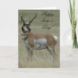 A37 Pronghorn Antelope Big Buck Crooked Horns Karte