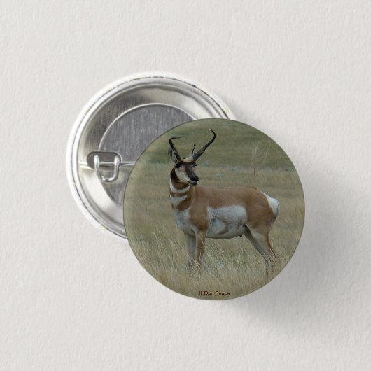 A37 Pronghorn Antelope Buck Crooked Horns Button (Vorne & Hinten)