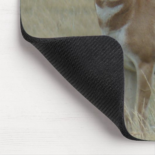 A37 Pronghorn Antelope Crooked Horns Mousepad (Ecke)
