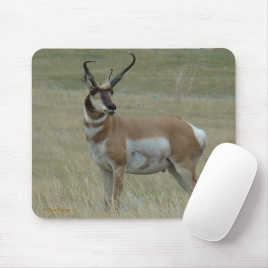 A37 Pronghorn Antelope Crooked Horns Mousepad (Mit Mouse)