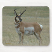 A37 Pronghorn Antelope Crooked Horns Mousepad (Vorne)