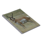 A37 Pronghorn Antelope Crooked Horns Notizblock (Rechte Seite)
