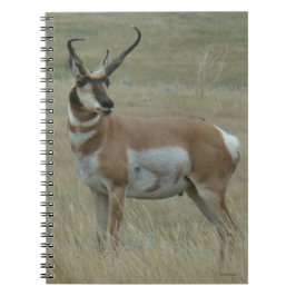 A37 Pronghorn Antelope Crooked Horns Notizblock