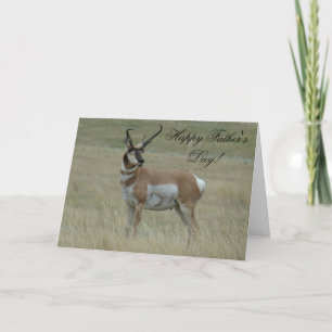 A37 Pronghorn Antilopen-viel Geld-gekrümmte Hörner Karte