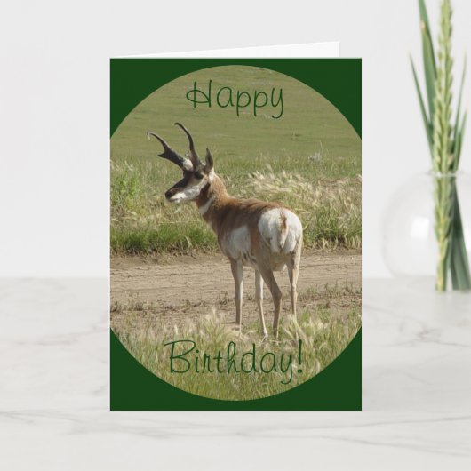 A39 Pronghorn Antelope Buck Karte (Vorderseite)