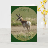 A39 Pronghorn Antelope Buck Karte (Gelbe Blume)